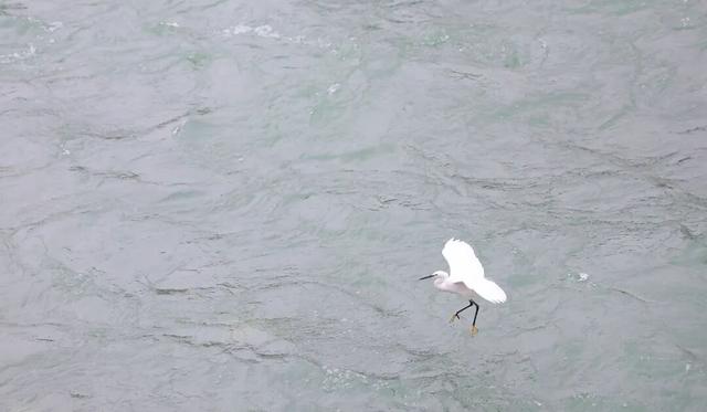 【拾光】岷江水润天府，都江堰铭千秋