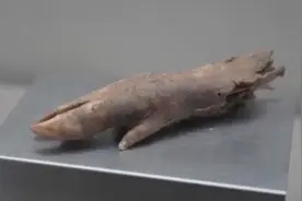 快看！这串北宋的葡萄，洗洗还能吃的样子图片