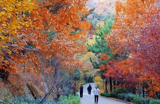 这条宝藏步道，藏着威海人冬日的运动暖趣