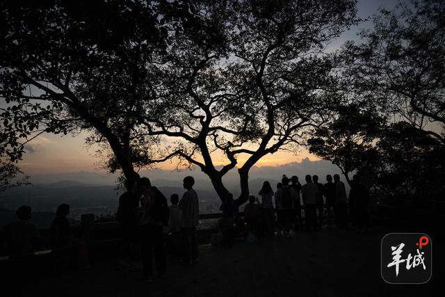 年轻人为何夜爬白云山？｜茶楼·跑街