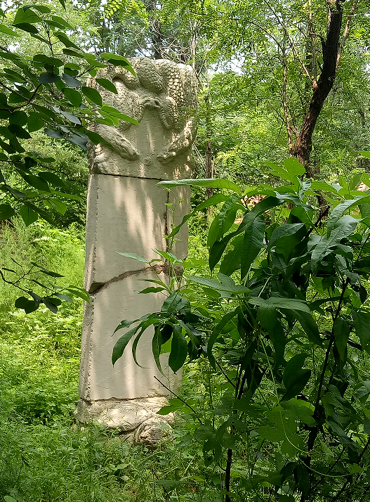 碧水古寨醉碁山
