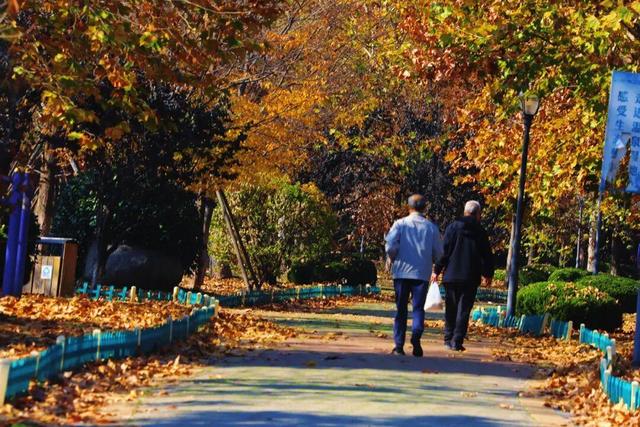 还在找威海初冬小众打卡地？这条河岸藏着惊喜