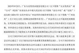不予受理！汕头中院终结*ST太安预重整程序图片