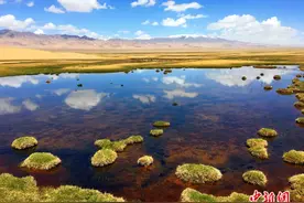 人这一辈子，一定要去一趟中国面积第一县！图片