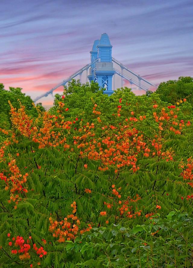 汉江湾体育公园：栾树披上秋装
