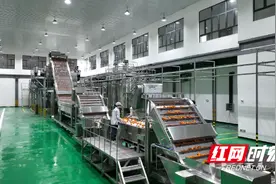 湖南新宁：鲜榨橙汁“上新投产”注入脐橙产业高质量“发展动能”图片