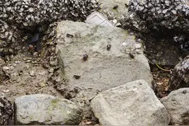 危险！广东多地提醒：不要吃、不要抓图片