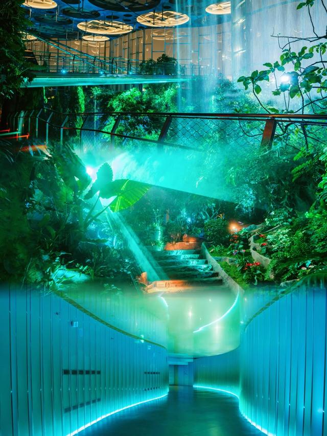 上海温室花园破百万游客！7月26日夜游开闸，光影里的植物狂欢夜等你来