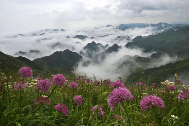 去贵州过秋天，连韭菜都美疯了