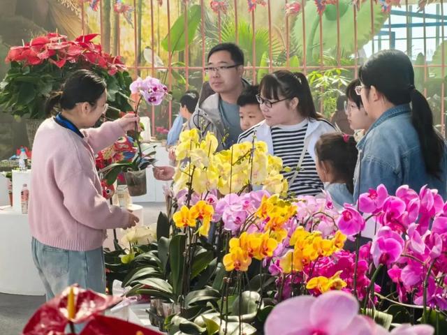 2025年济南商河花博会将于国庆期间举办