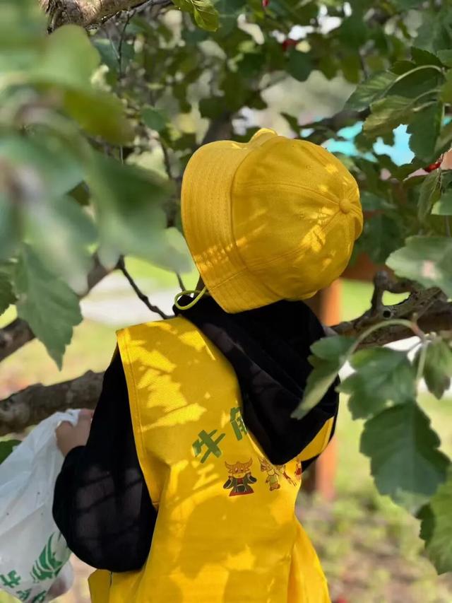 来宿城，解锁N种田园撒欢方式！