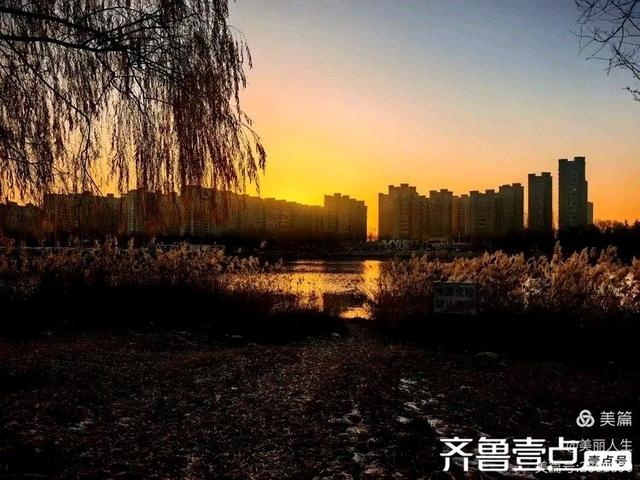 她的背影，是我一生的港湾