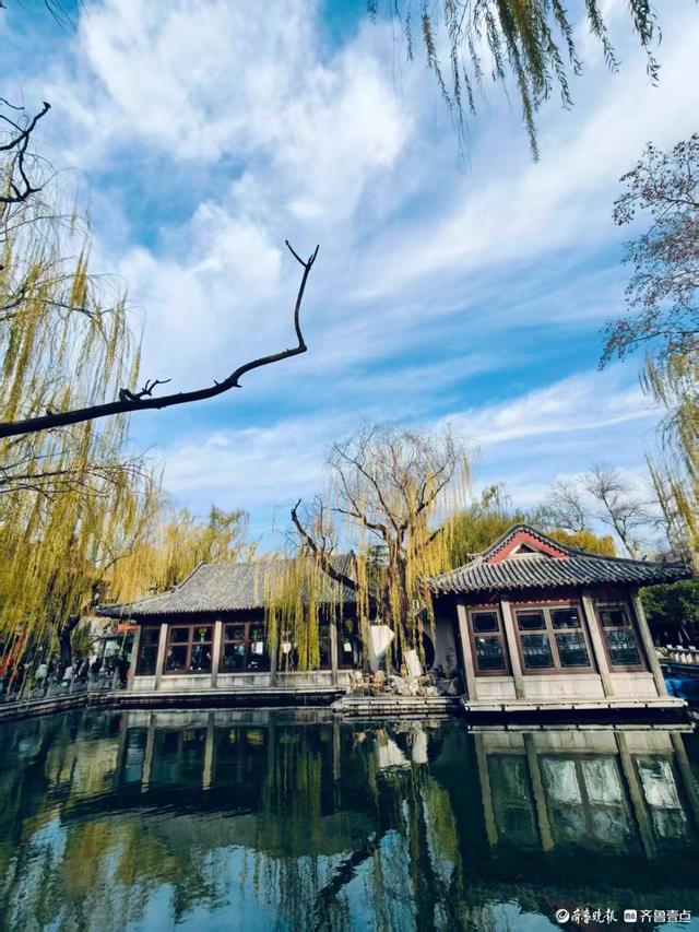 冬日趵突泉，寒风中美景依然