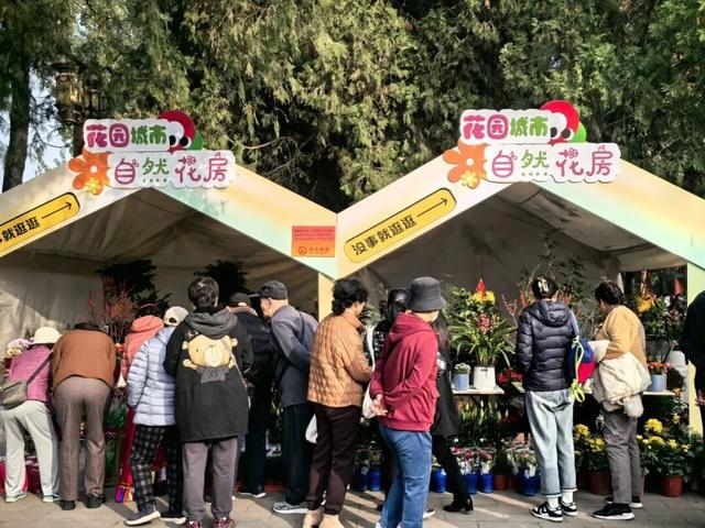 不必扎堆地坛公园！东城区赏秋攻略，一图收藏