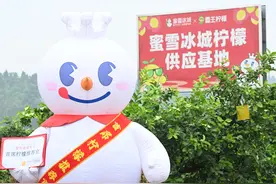 蜜雪冰城2024年ESG报告发布，从产品到责任的全产业链透视图片