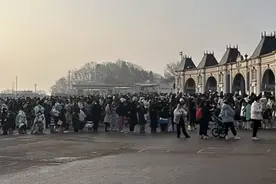 大熊猫福宝最后一天在韩展出：游客凌晨4点排队占位，有人等5个小时才进馆图片