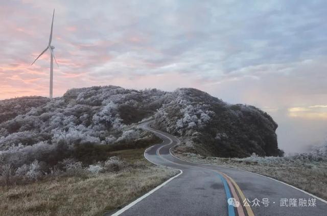 武隆：罩云山迎来今冬首场大范围雾凇美景