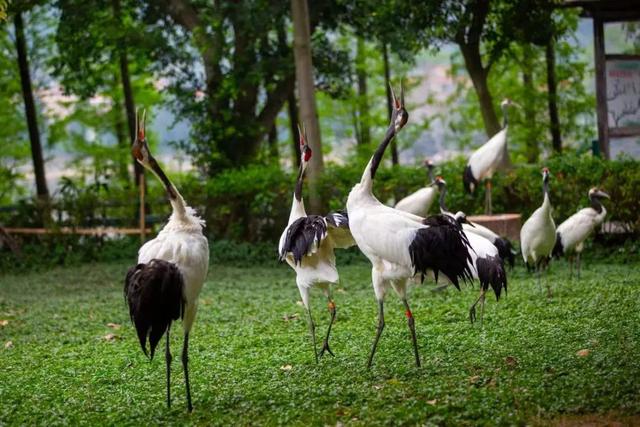 最近，星湖美景亮相广州！你发现了吗？