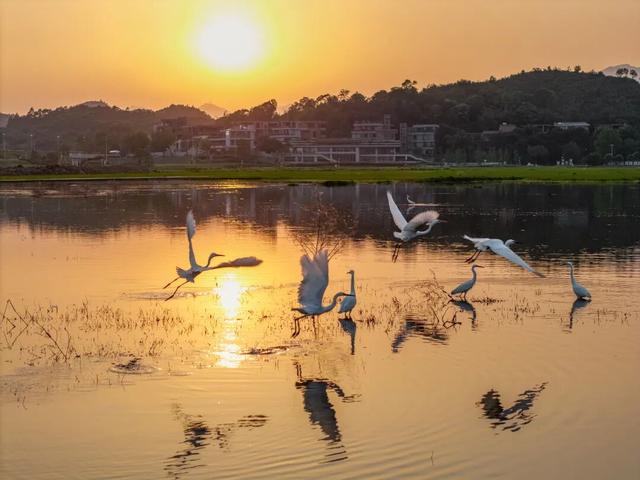 近9000人徒步打卡，解锁清城“诗和远方”！