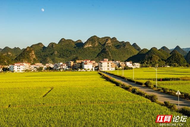 秋游时刻丨向稻浪深处出发：奔赴田心村，将秋日收藏成诗