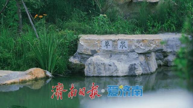 白泉湿地公园对外开放吸引众多市民关注