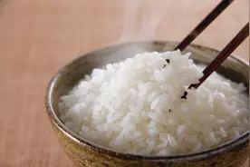 减肥不吃主食？医生：或导致大脑功能衰退图片