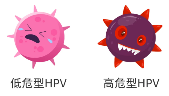 HPV疫苗全知道：二价、四价和九价有何不同？这篇科普告诉你答案！