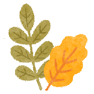 美到犯规！青城的秋，从不偏心南北