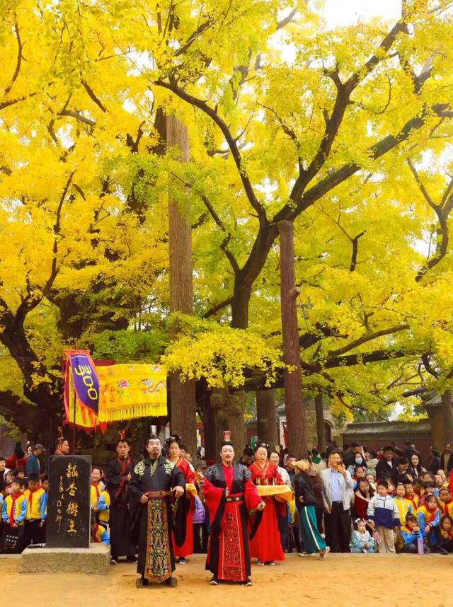 赵立坚微博打call日照银杏古树！附高清大图+进阶玩法！