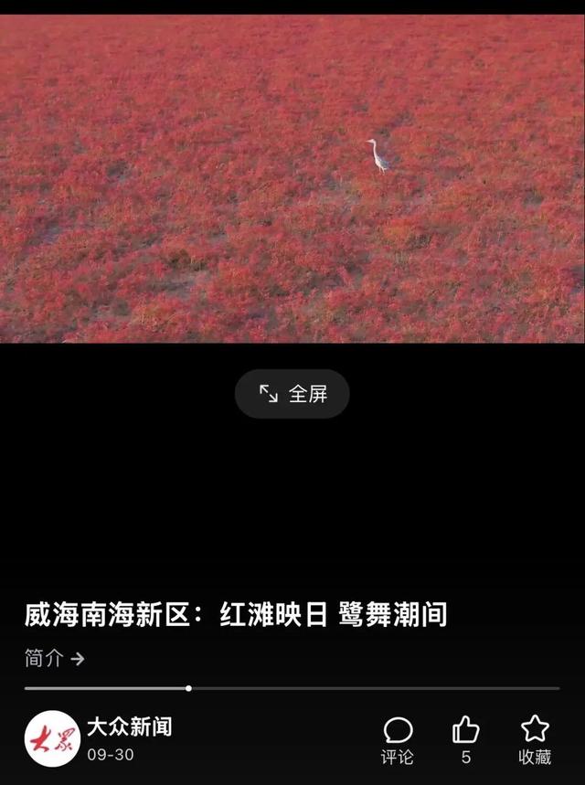南海红海滩刷屏 网友争相打卡