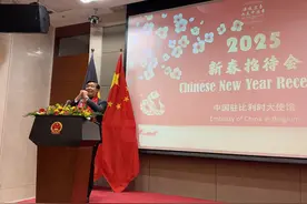 中国驻比利时大使馆举办春节招待会图片