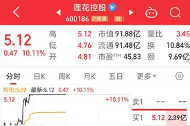 业绩预增，莲花控股股价涨停！算力业务贡献几何？公司回应图片