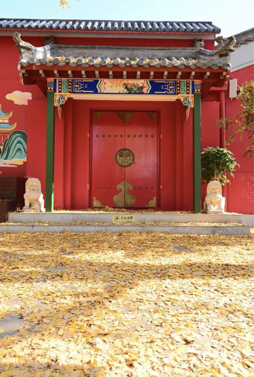 “不如去看一棵树” | 寻初冬彩蛋 圆明园邀您来打卡