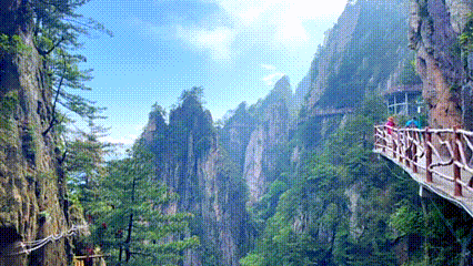 豫见两山 绿色答卷丨生态之旅——打卡“中原肺叶”栾川县