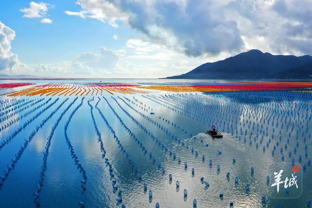 绵长海岸线撬动“海洋文旅+”！广东正以空前力度推动海洋旅游深度转型