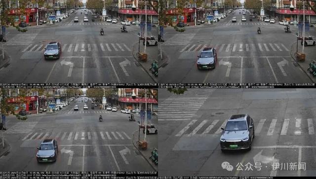 压实线！伊川曝光一批车辆……