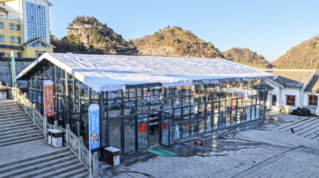 刚刚！凤凰山下雪啦！是真的！