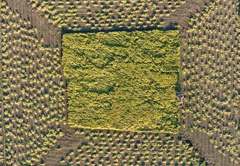 �ȴ�����й�����ح���գ��������˶��١��ڿƼ�����