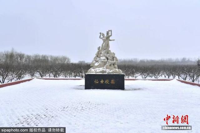 山东滨州：雪后冬景美如画