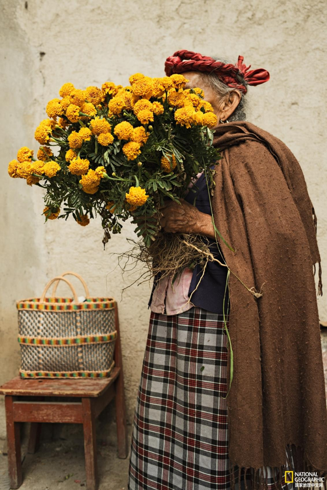 从北京中轴线到东非大草原：2026国家地理全球最佳目的地公布