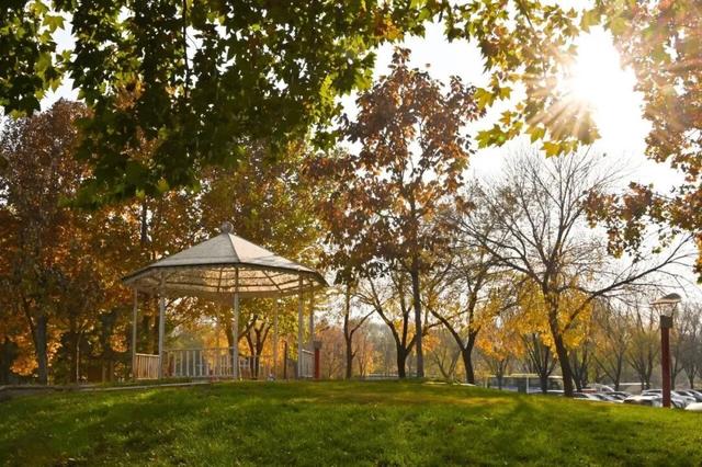 一键Get√氛围感！来这里，将海淀的秋收在镜头中——