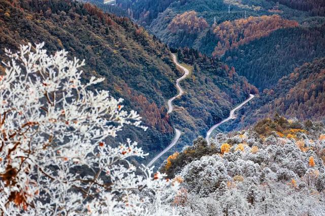眉山瓦屋山“早雪”至彩林盛放  景区免门票政策引客潮