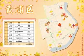 魔都渐入油画中，哪条马路最好看？官方赏秋攻略出炉，周到君给你划重点｜换一种方式看上海秋天③图片