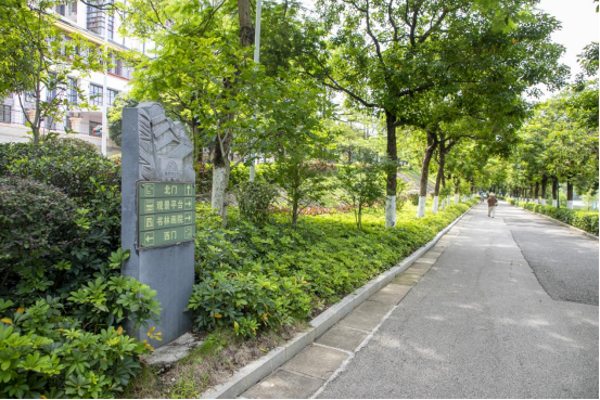 健身赏景两相宜！南宁这些“宝藏公园”等你来逛