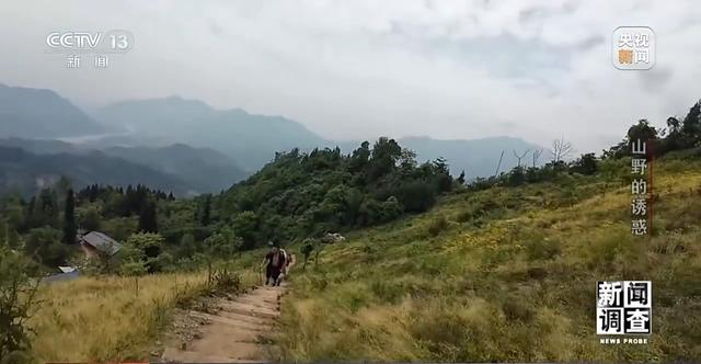 户外探险事故频发 如何规范管理“越界”行为？