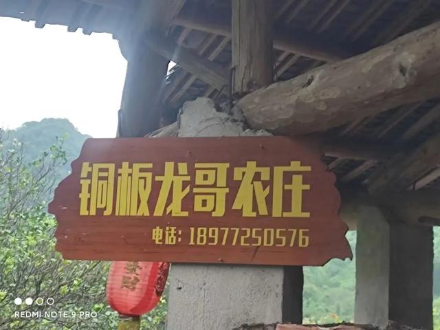 邀您打卡东起乡 解锁秋日限定山水画卷