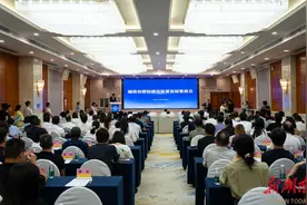取景免费还给补贴！长沙望城区十条政策扶持微短剧图片