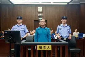 上海市奉贤区委原常委、统战部原部长周龙华，受审图片