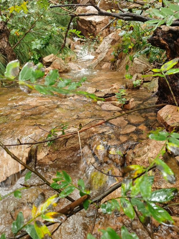 戴发利 || 艾崮山中寻瀑布