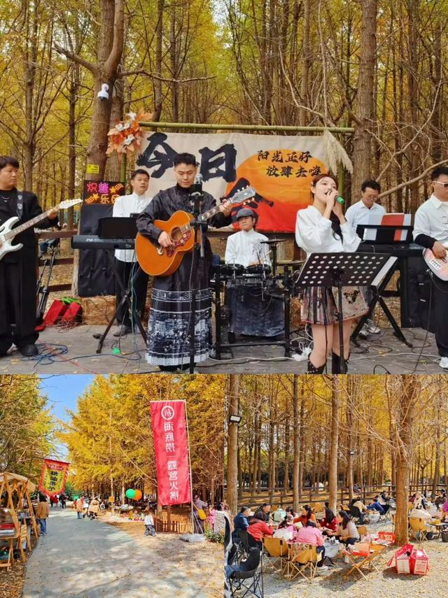 一年一度朋友圈银杏比美时刻，又！来！了！